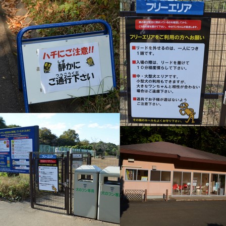 2011-11-15_武蔵丘陵森林公園.jpg