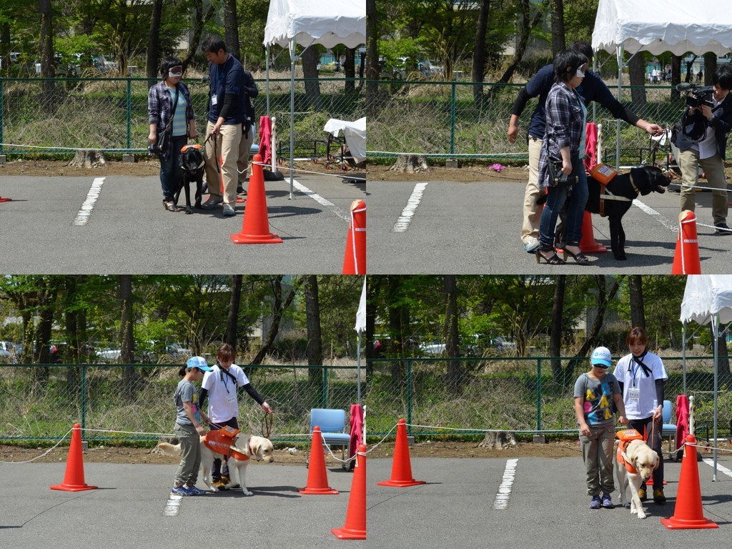 2013-04-28.jpg