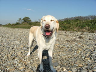 DSCF1130.jpg