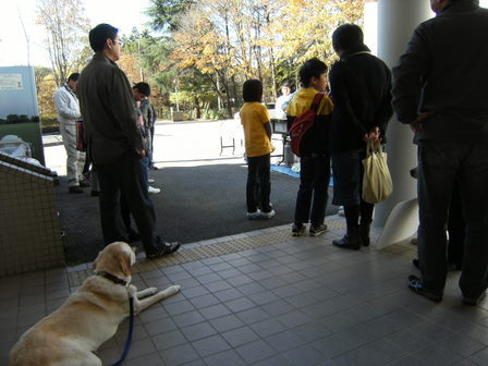 DSCF1181.jpg