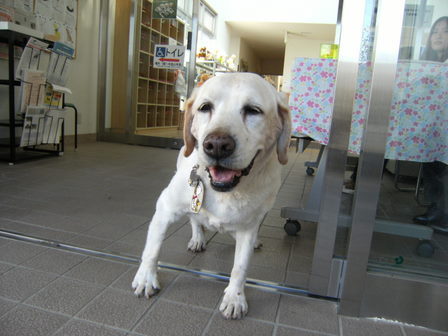 DSCF1183.jpg