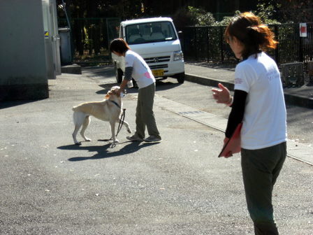 DSCF1196.jpg