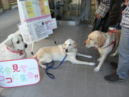 DSCF1201.jpg