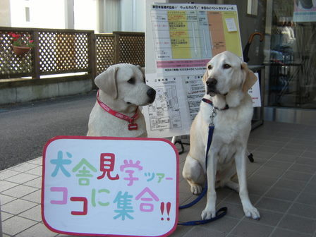 DSCF1204.jpg