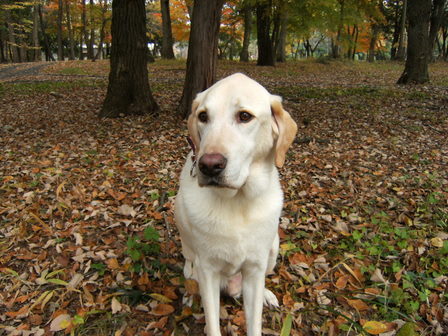 DSCF1225.jpg